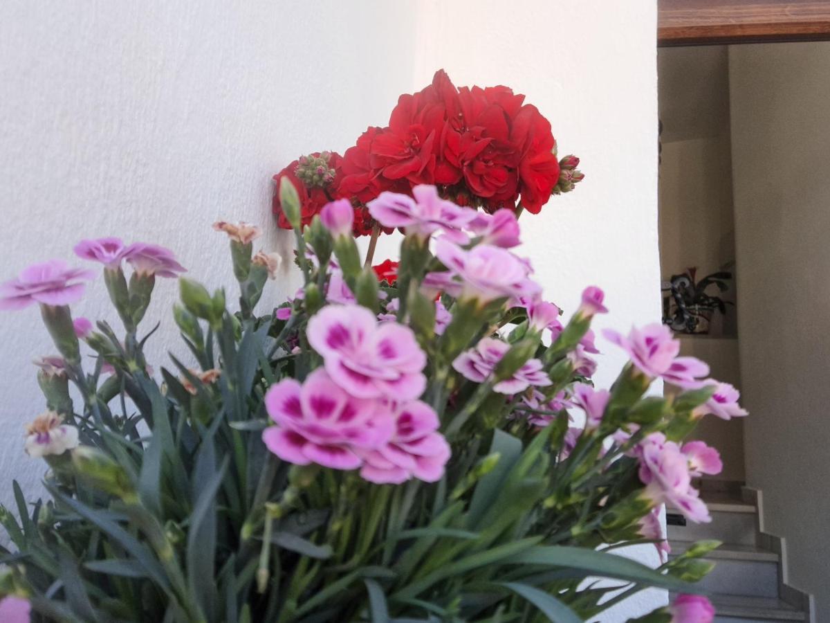 Apartamento "La Vina" Málaga Buitenkant foto